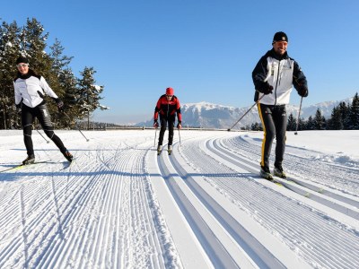 Holiday apartment Latemar - Unterkoflhof - Environment photo 21