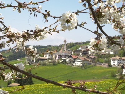 Holiday apartment Latemar - Unterkoflhof - Environment photo 25