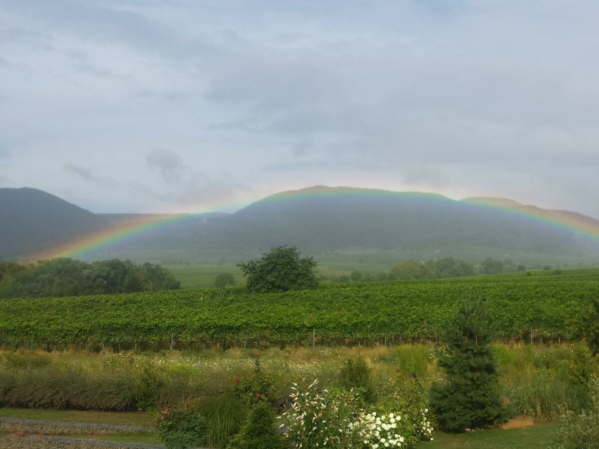 Apartment Appartement/Fewo, geräumig, Dusche, WC - Outdoor photo 4