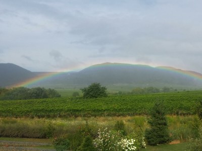 Apartment Appartement/Fewo, geräumig, Dusche, WC - Outdoor photo 4