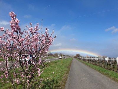 Apartment Appartement/Fewo, geräumig, Dusche, WC - Outdoor photo 5