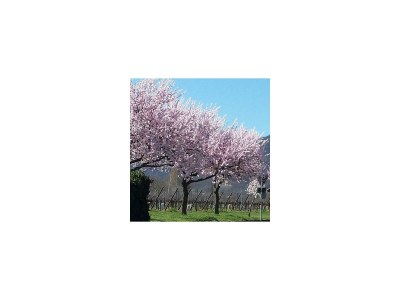 Apartment Appartement/Fewo, geräumig, Dusche, WC - Outdoor photo 6