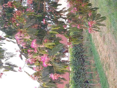 Apartment Appartement/Fewo, Dusche und Badewanne, 1 Schlafra - Outdoor photo 34