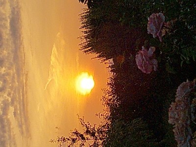 Apartment Appartement/Fewo, Dusche und Badewanne, 1 Schlafra - Outdoor photo 36