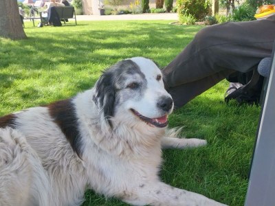 Apartment Appartement/Fewo, Dusche und Badewanne, 1 Schlafra - Outdoor photo 42