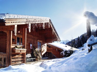 Apartment Ferienwohnung "Kreuzkogel" im Bio-Blockhaus - Outdoor photo 2
