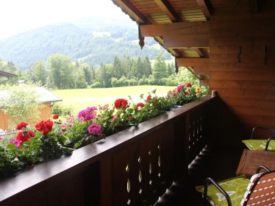 Apartment Garconniere Kaiserblick - Features photo 18