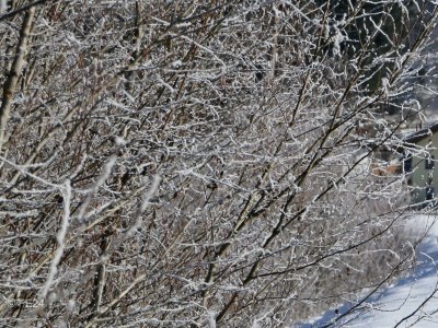 Holiday room Eckis Nest - Outdoor photo 9