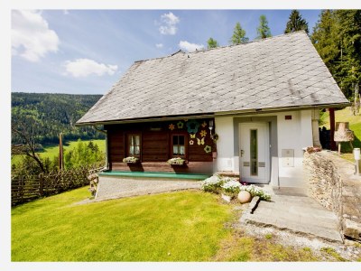 Apartment Haus Wildblick - Outdoor photo 7