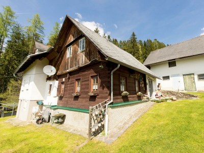 Apartment Haus Wildblick - Outdoor photo 8