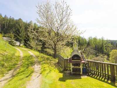Apartment Haus Wildblick - Outdoor photo 23