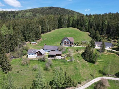 Apartment Haus Wildblick - Outdoor photo 25