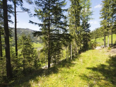 Apartment Haus Wildblick - Outdoor photo 29