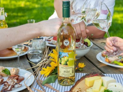 Apartment Weinbergwohnung (ab 3 Nächte) - Outdoor photo 7