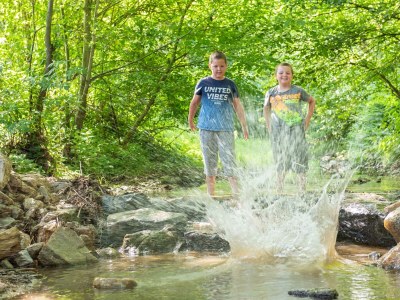 Apartment Weinbergwohnung (ab 3 Nächte) - Outdoor photo 9