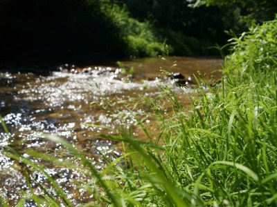 Apartment Weinbergwohnung (ab 3 Nächte) - Outdoor photo 13