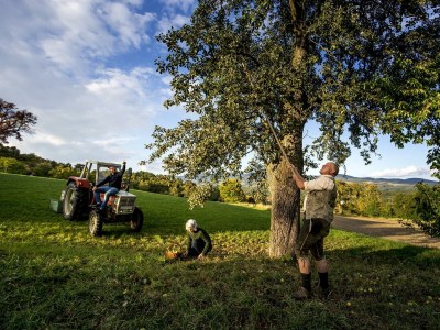 Apartment Weinbergwohnung (ab 3 Nächte) - Outdoor photo 15