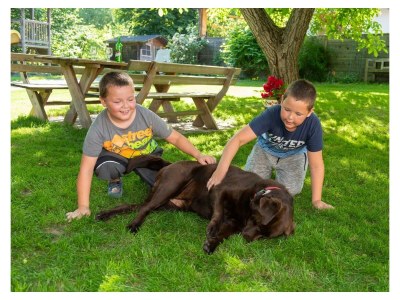 Apartment Weinbergwohnung (ab 3 Nächte) - Outdoor photo 24