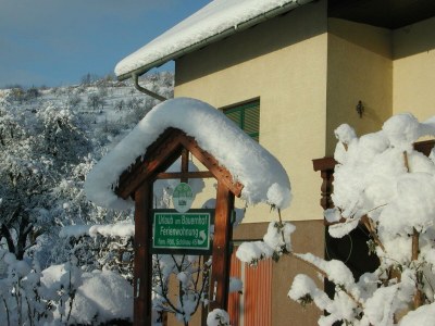 Apartment Weinbergwohnung (ab 3 Nächte) - Outdoor photo 26