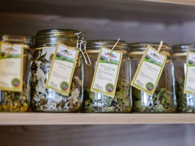 Apartment 6er-Familien Apartment - Outdoor photo 27