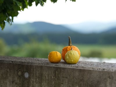 Apartment 6er-Familien Apartment - Outdoor photo 36