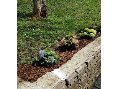 Apartment Appartement/Fewo, Dusche und Bad, WC, 5 Schlafräum - Outdoor photo 10