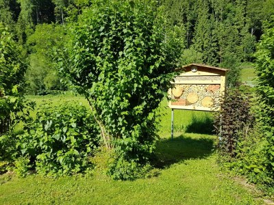 Apartment Appartement/Fewo, Dusche und Bad, WC, 5 Schlafräum - Outdoor photo 17