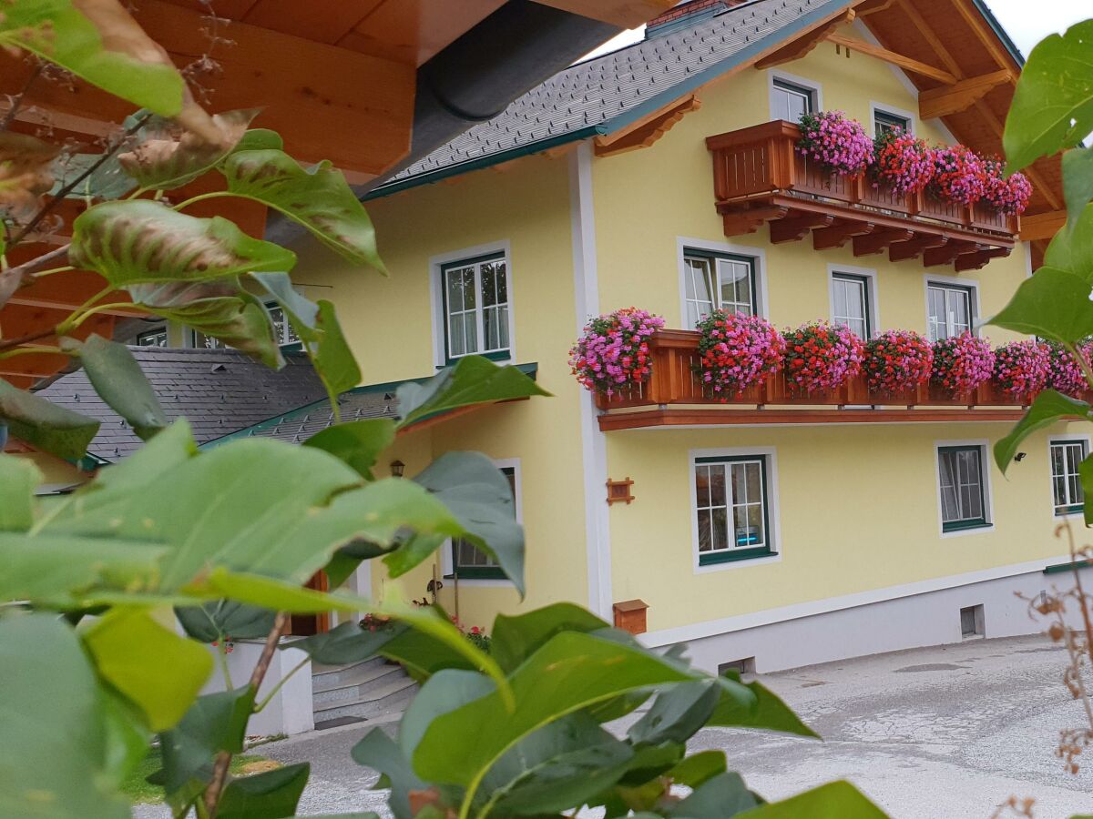 Apartment Grüne Wohnung