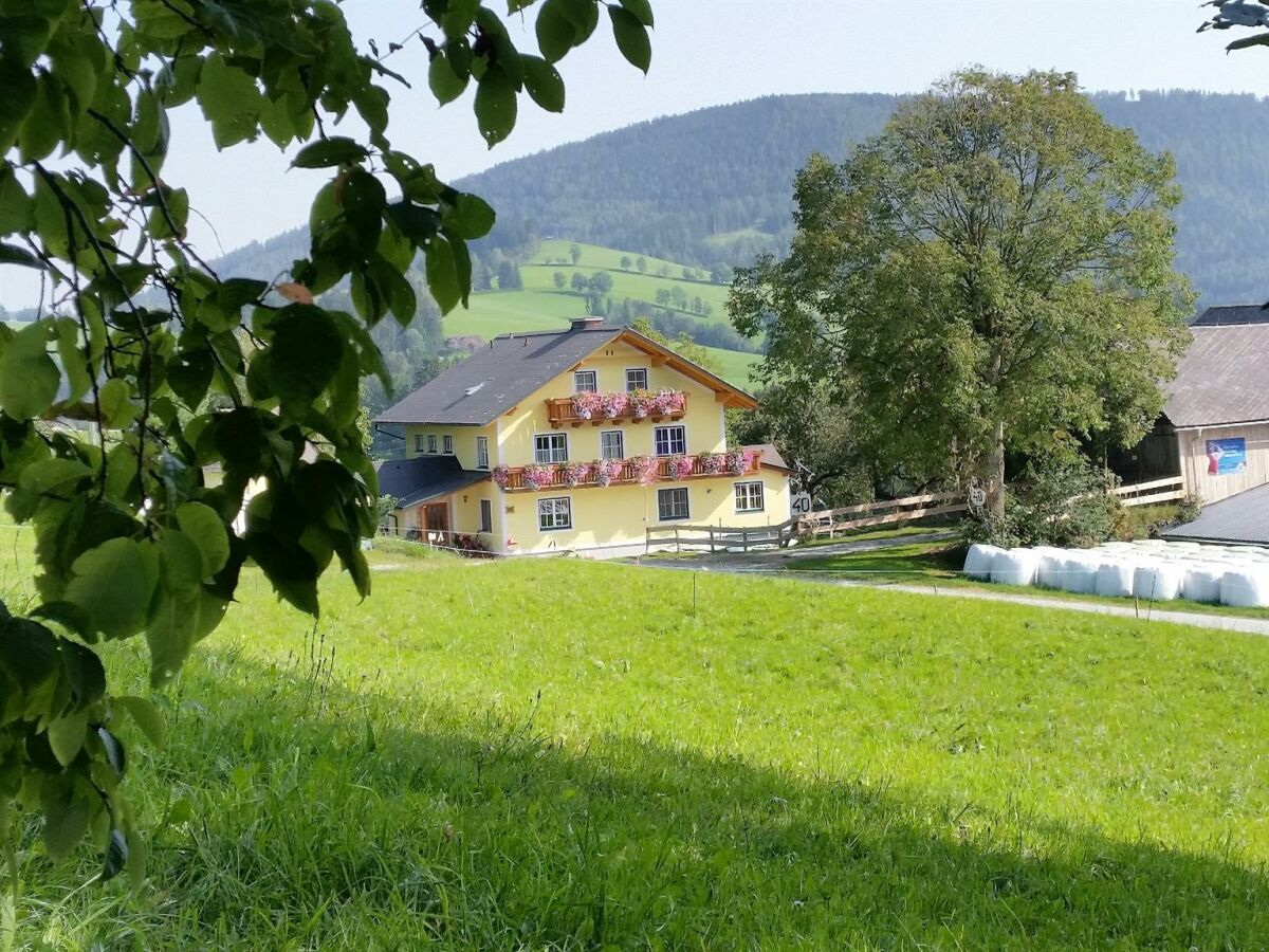 Apartment Grüne Wohnung - Outdoor photo 2