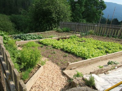 Apartment Grüne Wohnung - Outdoor photo 6