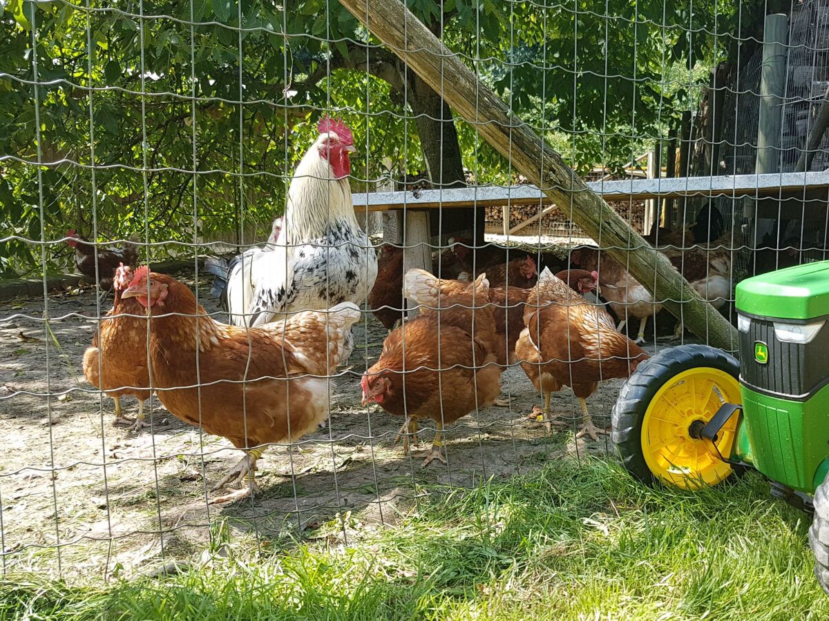 Holiday room Vierbettzimmer (2-3 Nächte HP) - Outdoor photo 2