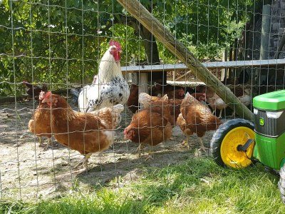 Holiday room Vierbettzimmer (2-3 Nächte HP) - Outdoor photo 2