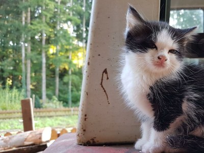 Holiday room Vierbettzimmer (2-3 Nächte HP) - Outdoor photo 7