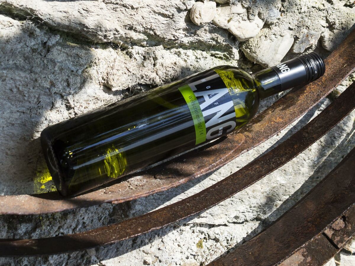 Apartment Ferienwohnung "Schilcher", ohne Frühstück - Outdoor photo 2