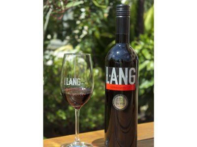 Apartment Ferienwohnung "Schilcher", ohne Frühstück - Outdoor photo 7