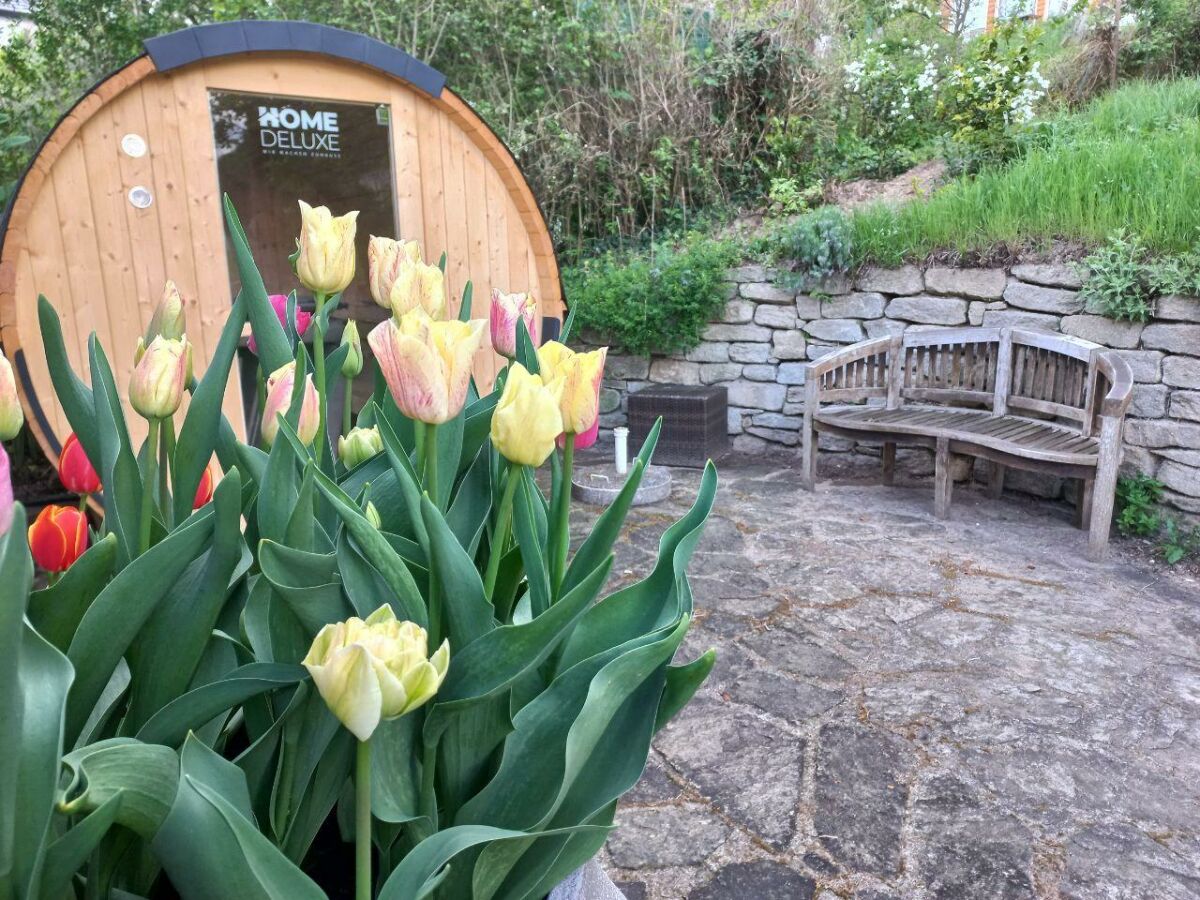 Apartment Ferienhaus, Bad, WC, gartenseitig - Outdoor photo 5