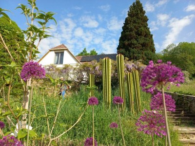 Apartment Ferienhaus, Bad, WC, gartenseitig - Outdoor photo 4
