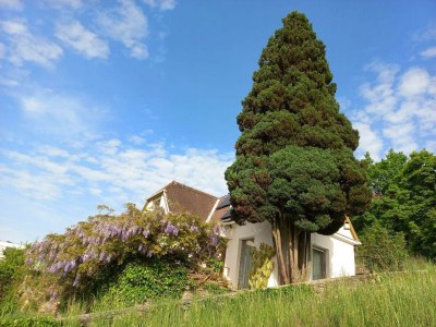 Apartment Ferienhaus, Bad, WC, gartenseitig - Outdoor photo 7