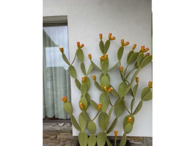 Apartment Ferienhaus, Bad, WC, gartenseitig - Outdoor photo 10