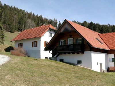 Apartment Revitalisiertes Bauernhaus: Appartement Forstwald in Birkfeld - Apartment