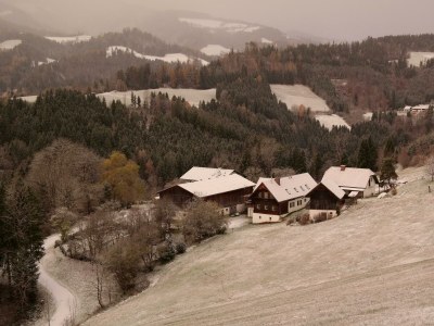 Apartment Revitalisiertes Bauernhaus: Appartement Forstwald - Outdoor photo 5