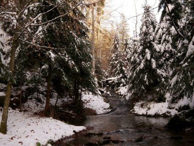 Apartment Revitalisiertes Bauernhaus: Appartement Forstwald - Outdoor photo 6