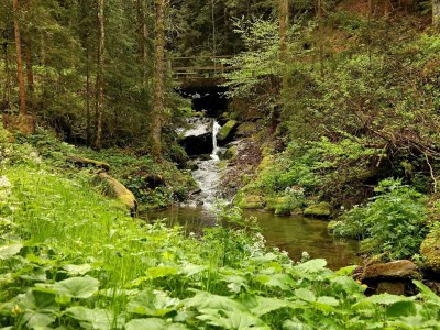 Apartment Revitalisiertes Bauernhaus: Appartement Forstwald - Outdoor photo 7