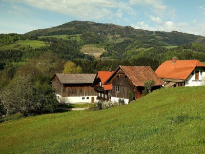 Apartment Revitalisiertes Bauernhaus: Appartement Forstwald - Outdoor photo 8