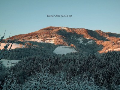 Apartment Revitalisiertes Bauernhaus: Appartement Forstwald - Outdoor photo 13