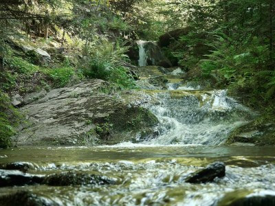Apartment Revitalisiertes Bauernhaus: Appartement Forstwald - Outdoor photo 17