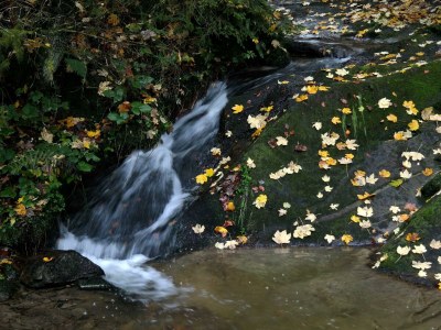 Apartment Revitalisiertes Bauernhaus: Appartement Forstwald - Outdoor photo 23