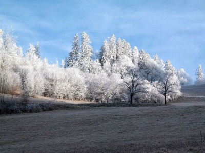 Apartment Revitalisiertes Bauernhaus: Appartement Forstwald - Outdoor photo 27