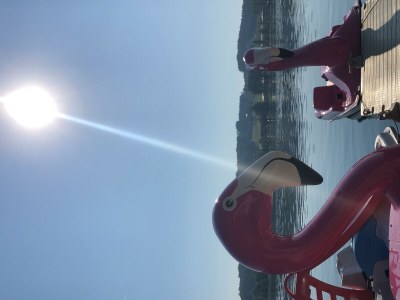 Apartment Apartment-Haus-Relax 1 - Outdoor photo 10