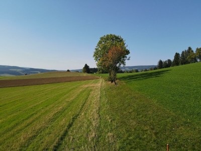 Apartment Ferienwohnung (1-6 Nächte) - Outdoor photo 10